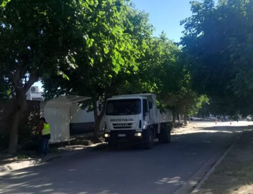 TRABAJOS DE PODAS EN GARITAS