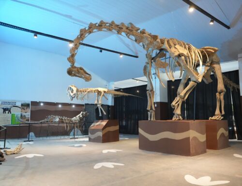 25° ANIVERSARIO DEL MUSEO ARGENTINO URQUIZA Y PARQUE RINCONSAURUS 🦕