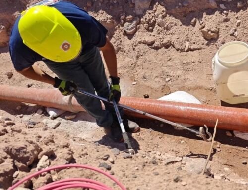INTERVENCIÓN POR SERPIENTE.