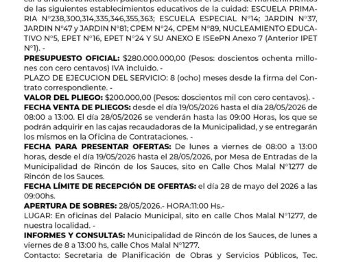 LICITACIÓN PÚBLICA N° 004/2026