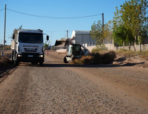 Continúan las tareas de limpieza y mantenimiento en distintos espacios de nuestra localidad